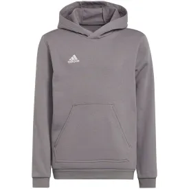 Adidas Entrada 22 Hoody Grey H57515 140Cm