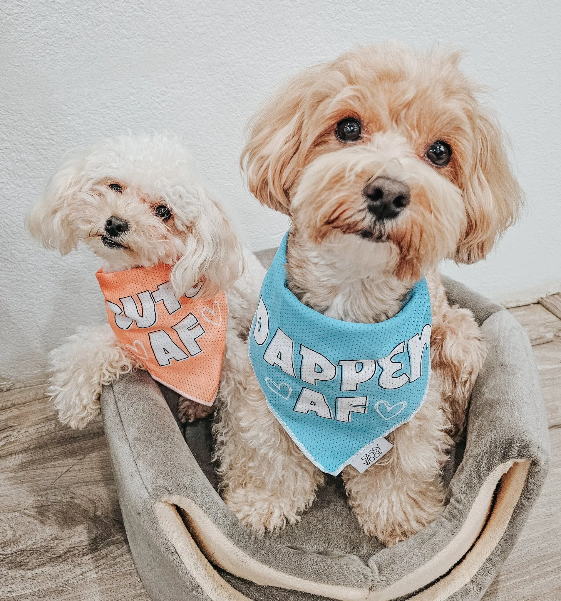 Dog Bandana - Dapper AF